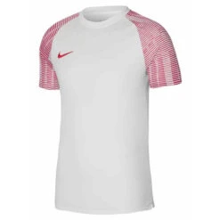 Nike Academy Jersey SS